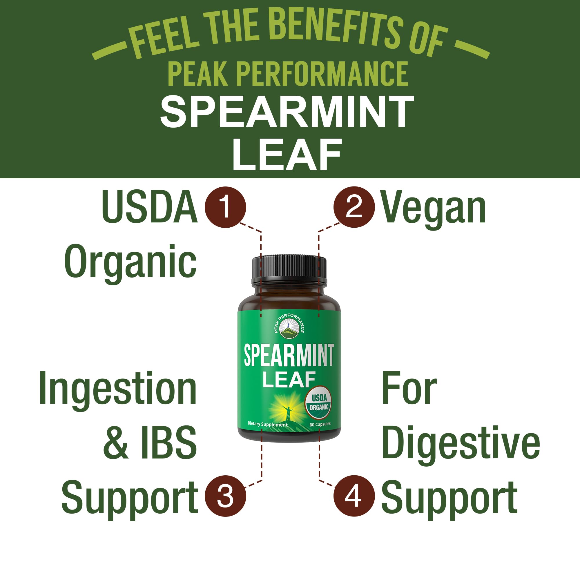 Peak Performance primer plano de hojas de spearmint, muestra origen vegetal puro