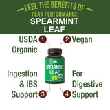 Peak Performance primer plano de hojas de spearmint, muestra origen vegetal puro