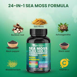 Peakhealth cápsula abierta con polvo vegetal para fácil comprensión