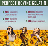 Perfect Supplements etiqueta con lista de ingredientes y sellos de pureza
