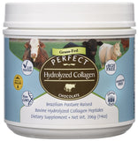 Perfect Supplements envase frontal mostrando colágeno chocolate y beneficio de pureza