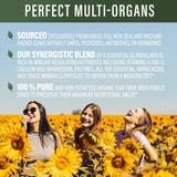 Perfect Supplements detalle de textura liofilizada que preserva nutrientes naturales