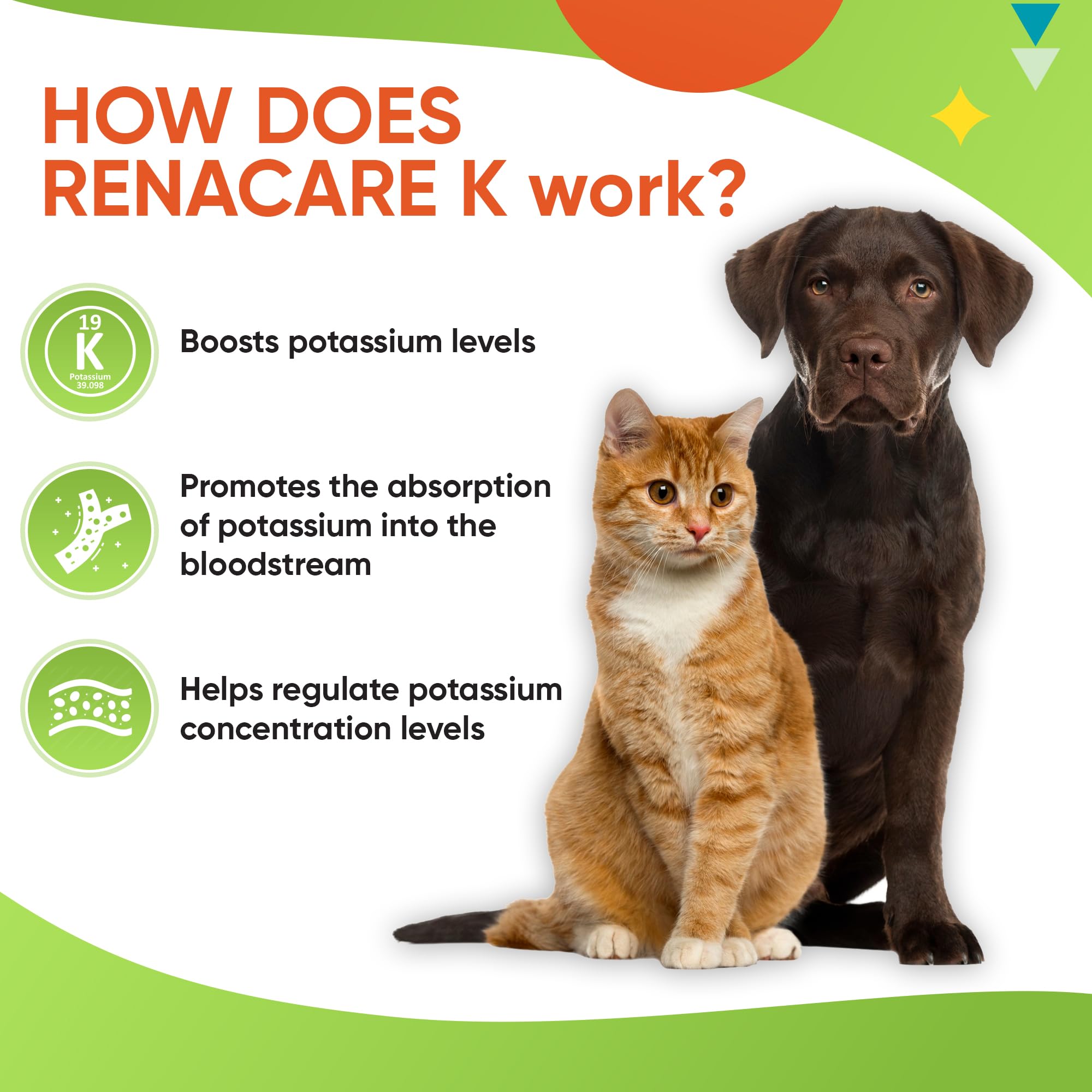 Pet Health Pharma RenaCare K mezclado en comida de gato, mejora aceptación por sabor hígado