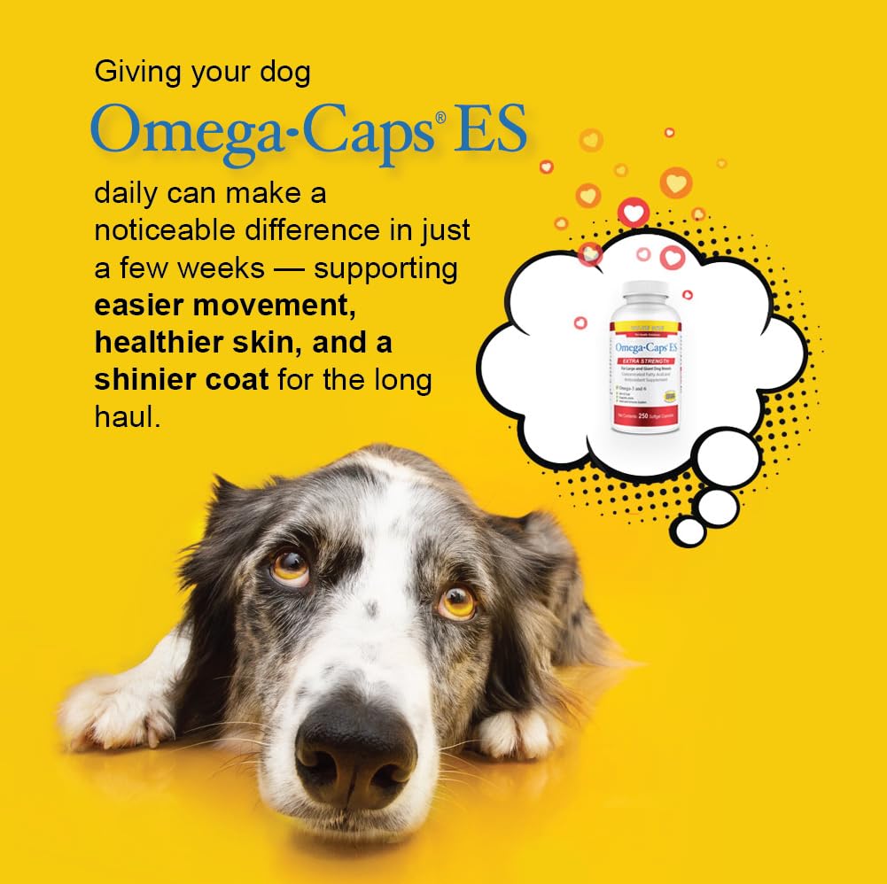 Pet Health Solutions textura translúcida de cápsula Omega-Caps ES para facilitar su administración