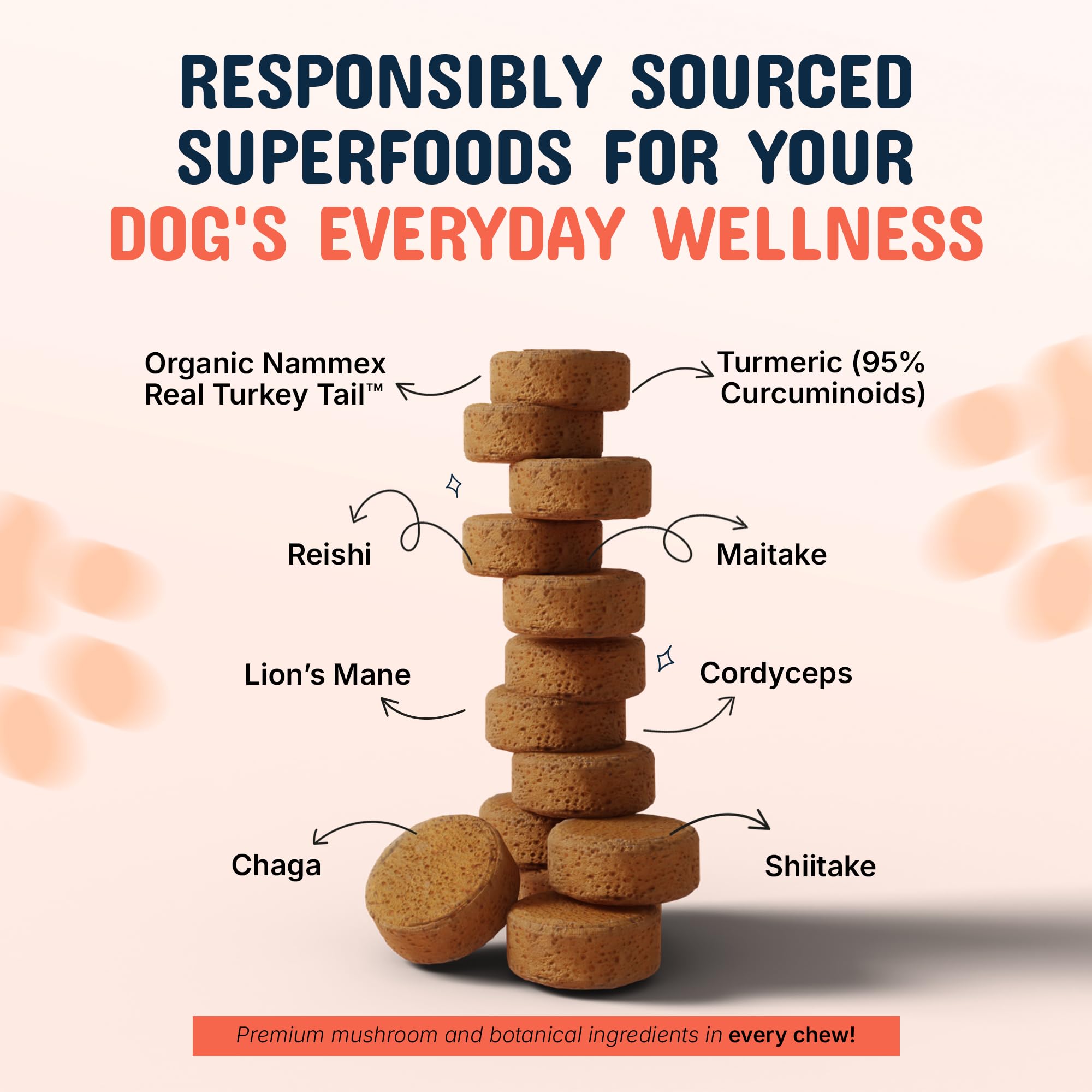 Pets Are Kids Too ingredientes: hongos Turkey Tail, Reishi y Chaga naturales