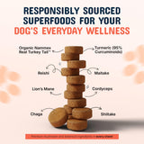 Pets Are Kids Too ingredientes: hongos Turkey Tail, Reishi y Chaga naturales
