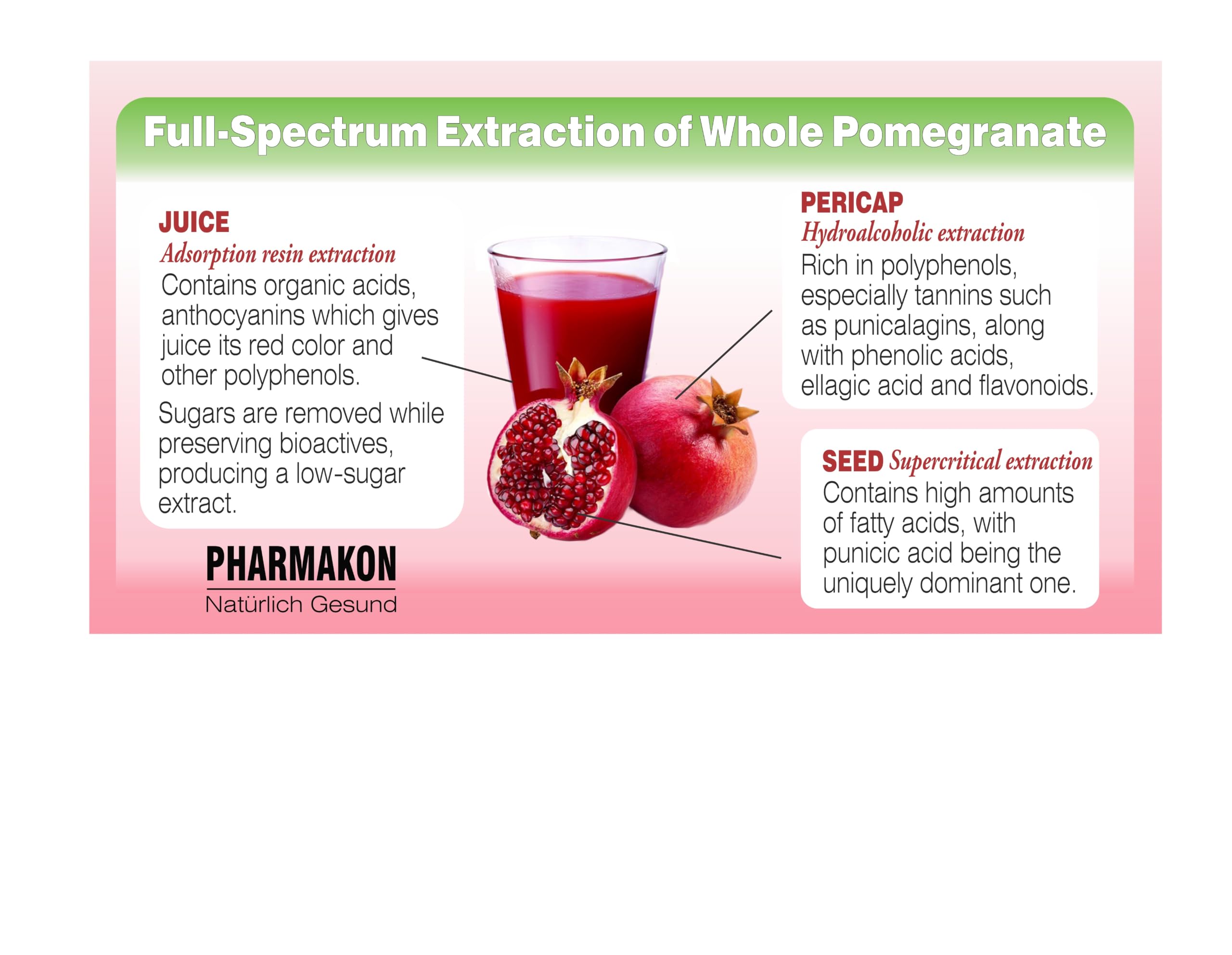 PHARMAKON softgel en mano para mostrar su tamaño y fácil ingestión