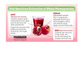 PHARMAKON softgel en mano para mostrar su tamaño y fácil ingestión