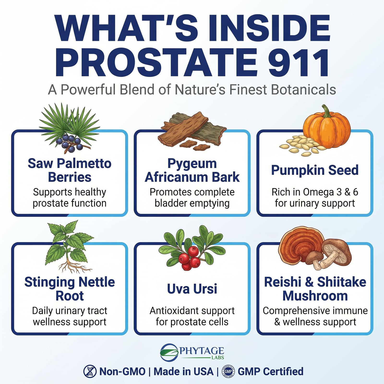 Phytage Labs Prostate 911 cápsulas sobre superficie resaltando dosificación diaria cómoda