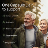 Phytokann polvo de hemp dentro de cápsula resaltando pureza del ingrediente