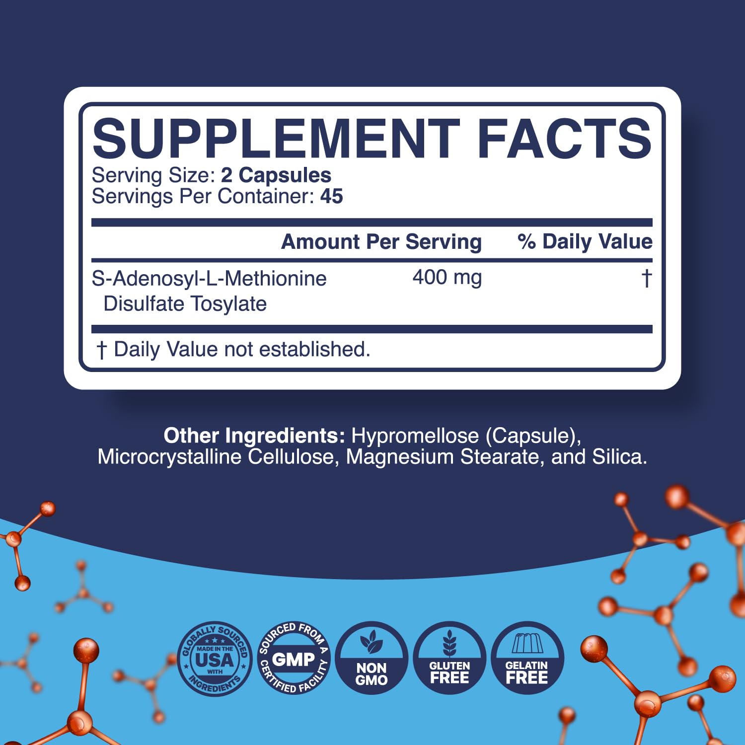 Phytoral enfoque en vitamina B12 destacando aporte energético