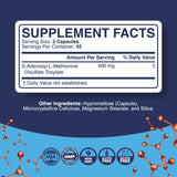 Phytoral enfoque en vitamina B12 destacando aporte energético