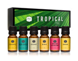 P&J Trading set tropical presentado en caja, ideal regalo y variedad olfativa