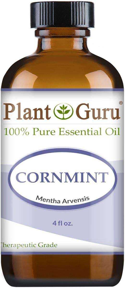 Plant Guru primer plano hojas de Mentha arvensis y textura para pureza