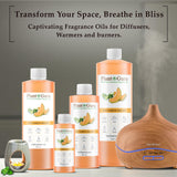 Plant Guru gota de aceite mostrando textura ligera y absorción rápida