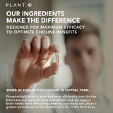 PLANT.O NUTRITION softgels abiertos sobre superficie para ver contenido oleoso