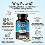 PLANT.O NUTRITION cápsula con LactoSpore® destacando probiótico estable