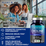 PLANT.O NUTRITION softgel en mano para comparar tamaño y facilidad de ingesta