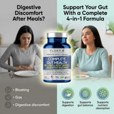 PLANT.O NUTRITION mezcla en polvo de ingredientes clave para digestión