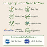 Plant People ingredientes de hongos funcionales en enfoque macro que muestran pureza