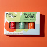 Plant Therapy ambientación de salón con aroma tropical acogedor