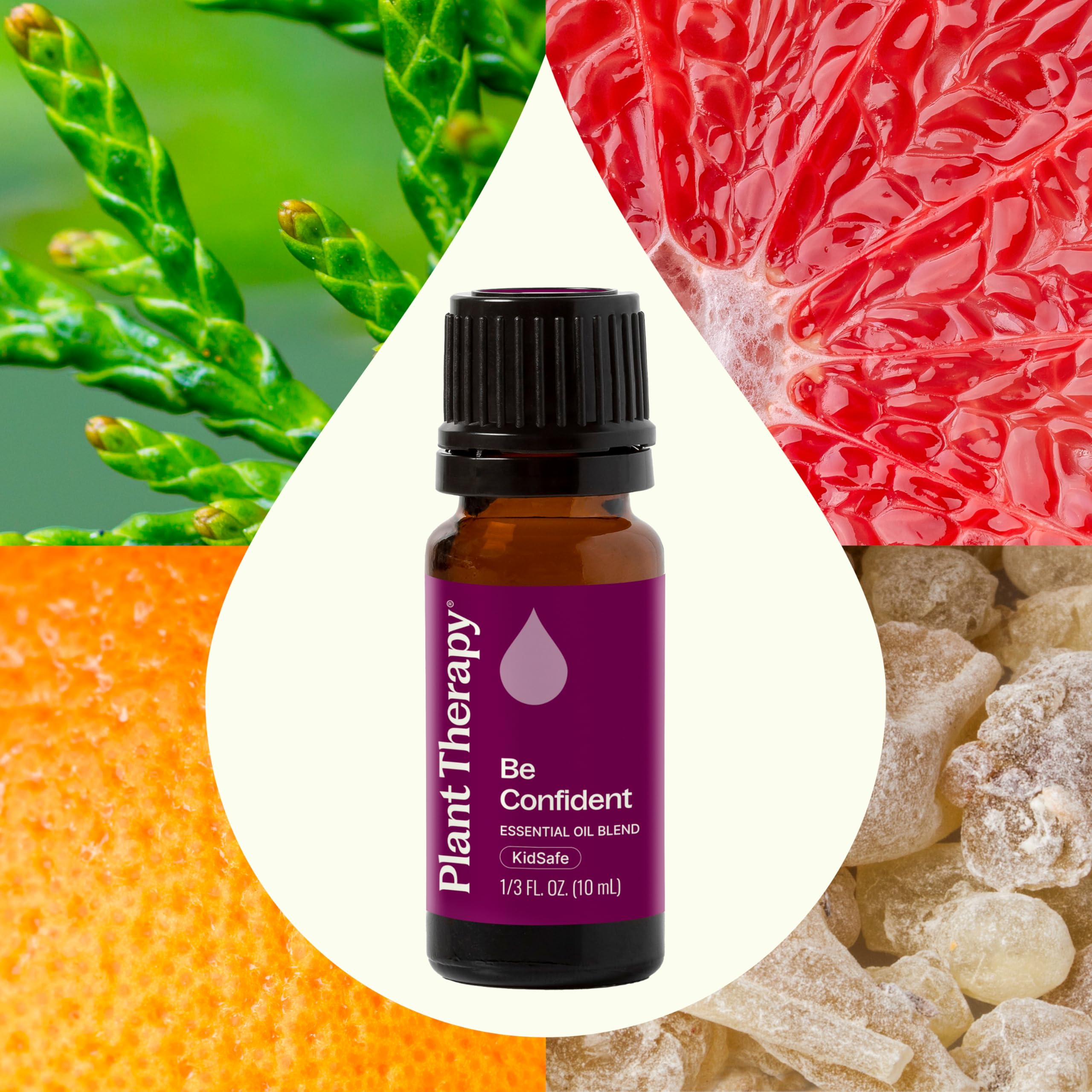 Plant Therapy etiqueta cercana mostrando ingredientes y transparencia