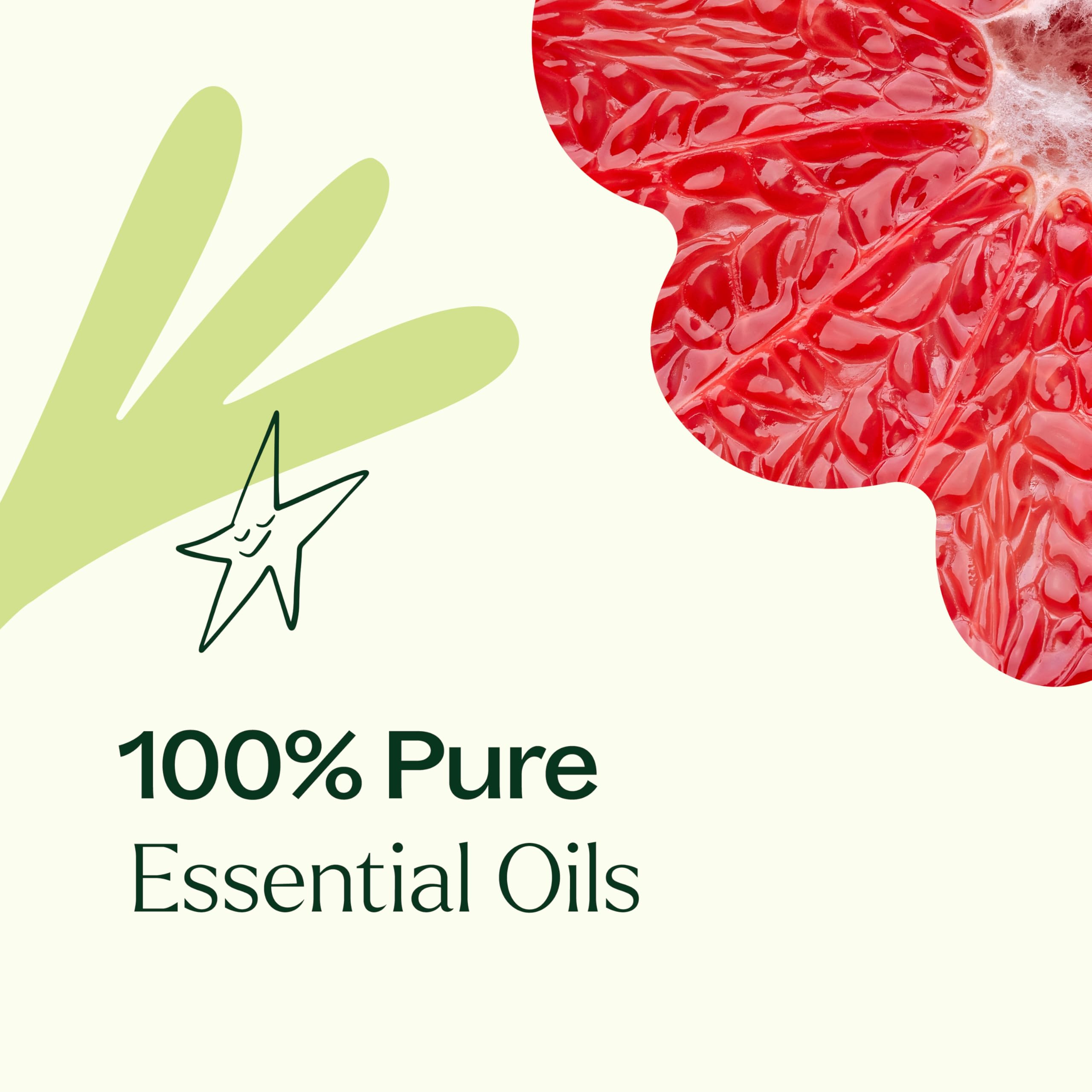 Plant Therapy mezcla para roll-on DIY, fácil aplicación y portabilidad