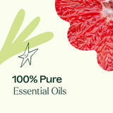 Plant Therapy mezcla para roll-on DIY, fácil aplicación y portabilidad