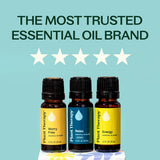 Plant Therapy seis blends juntos mostrando variedad para distintos usos