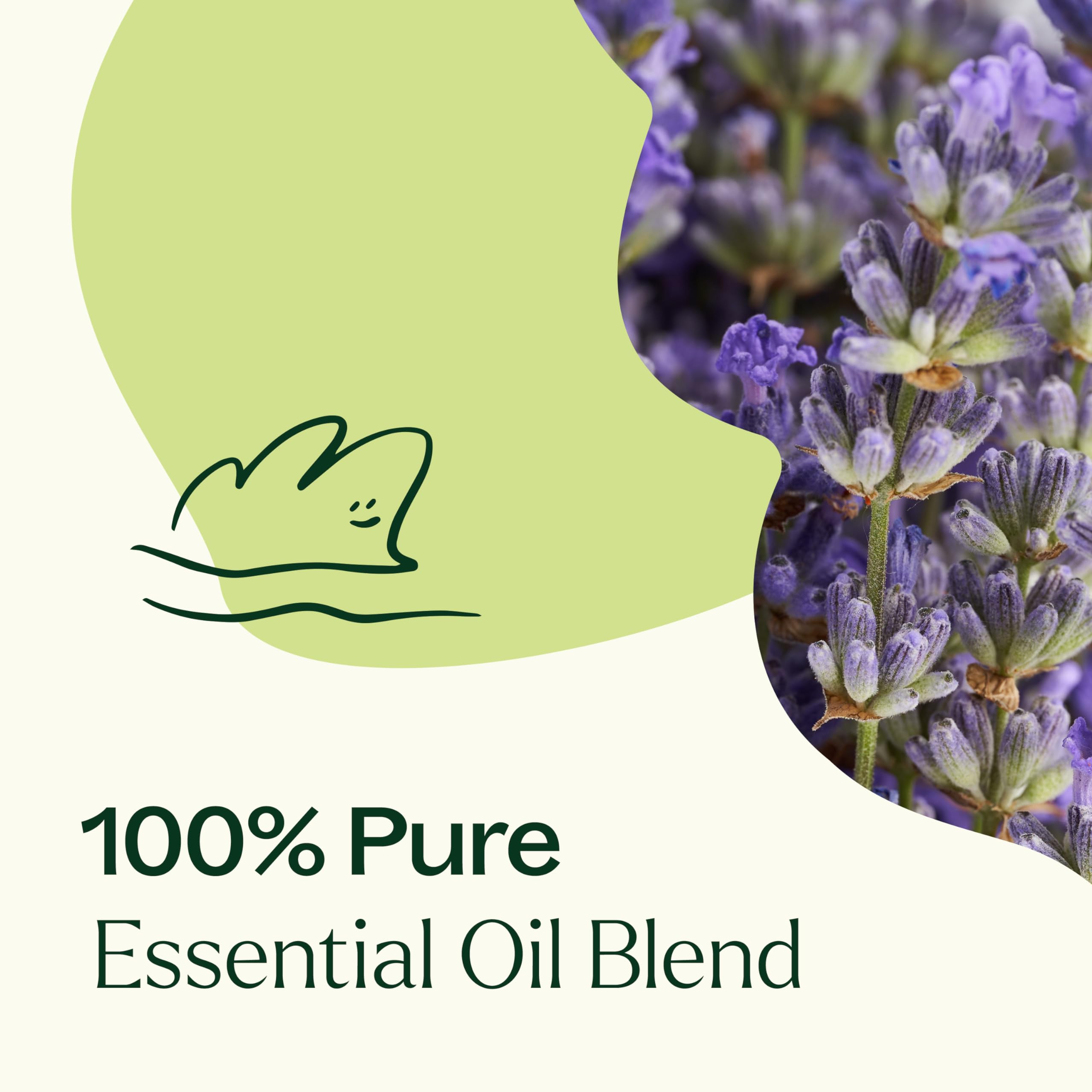 Plant Therapy aceite diluido aplicado en antebrazo para masaje relajante