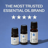 Plant Therapy aceite azul cercano, color y pureza visibles