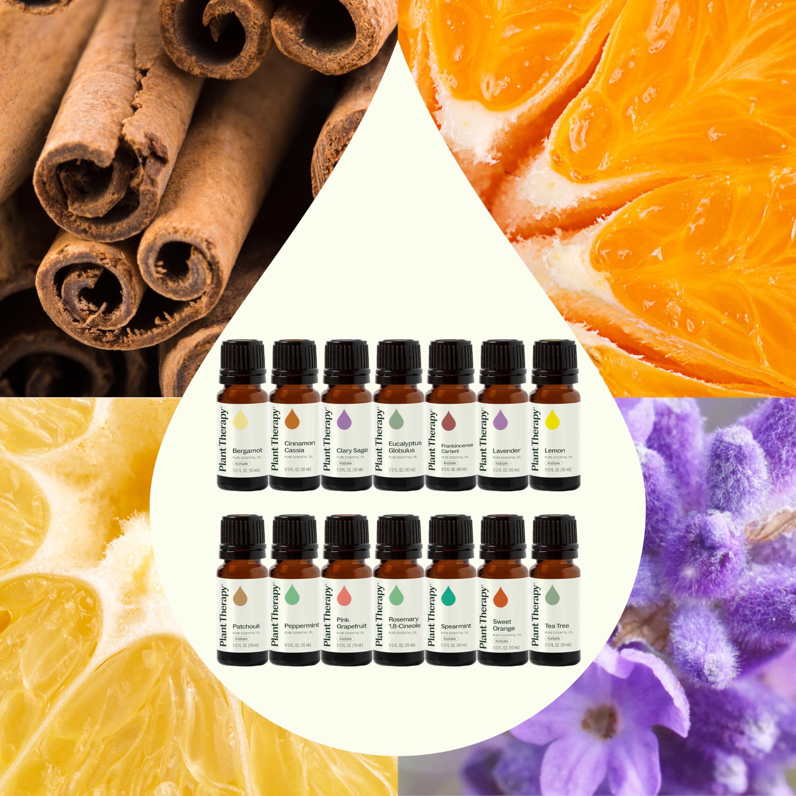 Plant Therapy botellas junto a un difusor en uso, ambiente aromático