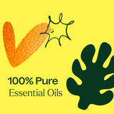 Plant Therapy etiquetas claras de cada mezcla garantizando pureza