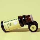 Plant Therapy frasco 10 ml Brain Aid junto a objetos para escala práctica