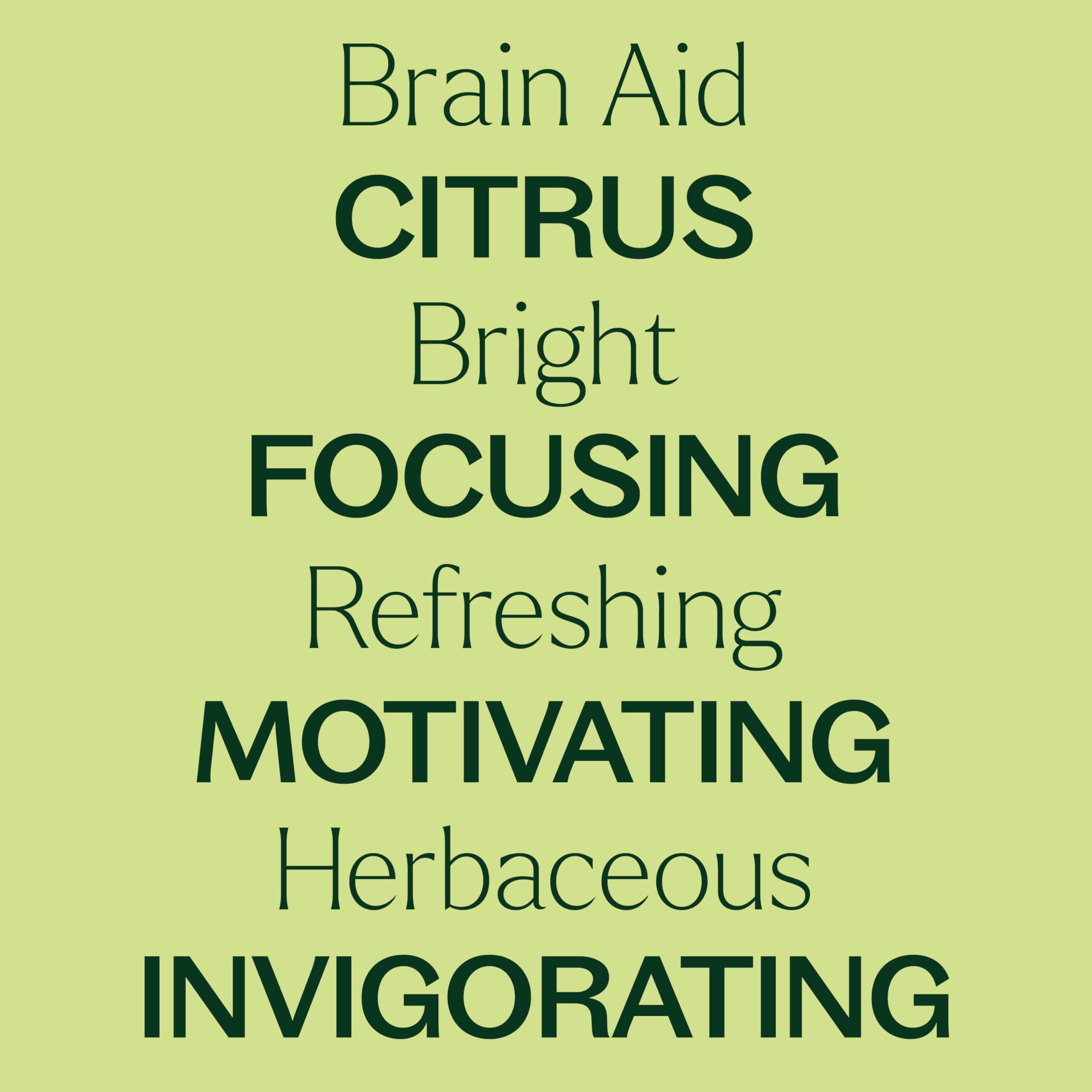 Plant Therapy Brain Aid en difusor de oficina mejora enfoque y ambiente