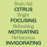 Plant Therapy Brain Aid en difusor de oficina mejora enfoque y ambiente