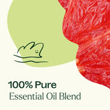 Plant Therapy roll-on hecho con Brain Aid para concentración portátil