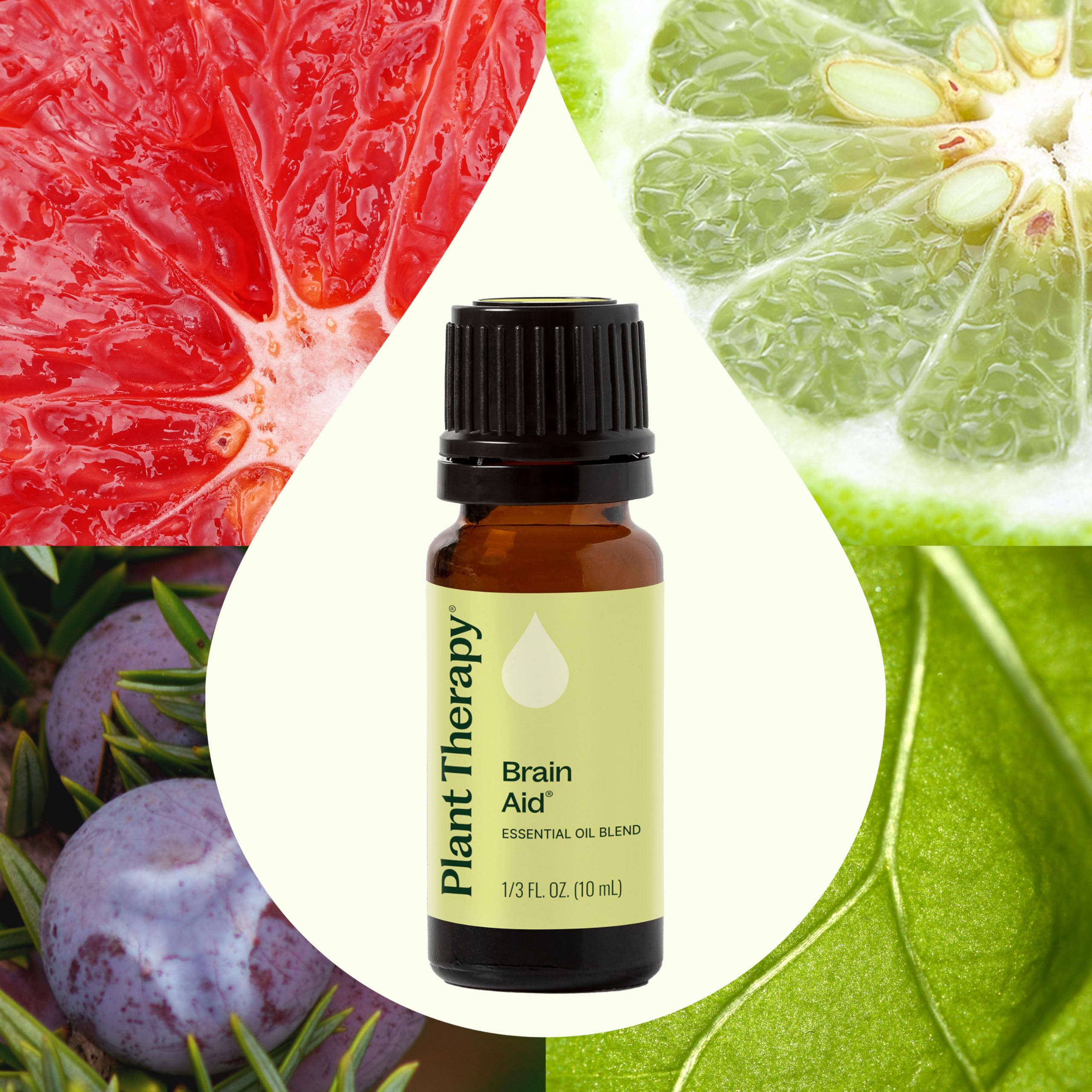 Plant Therapy gota de Brain Aid en superficie destacando pureza y aroma