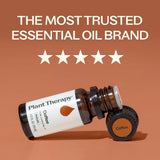Plant Therapy aceite en difusor ambientando habitación con calidez