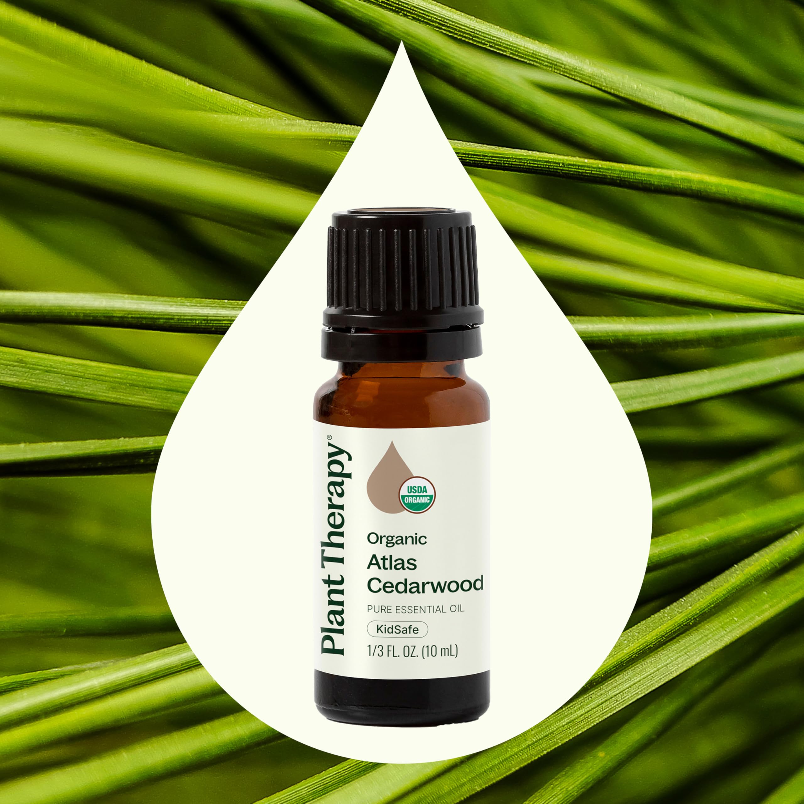 Plant Therapy botella junto a difusor en sala, aroma amaderado creando ambiente acogedor