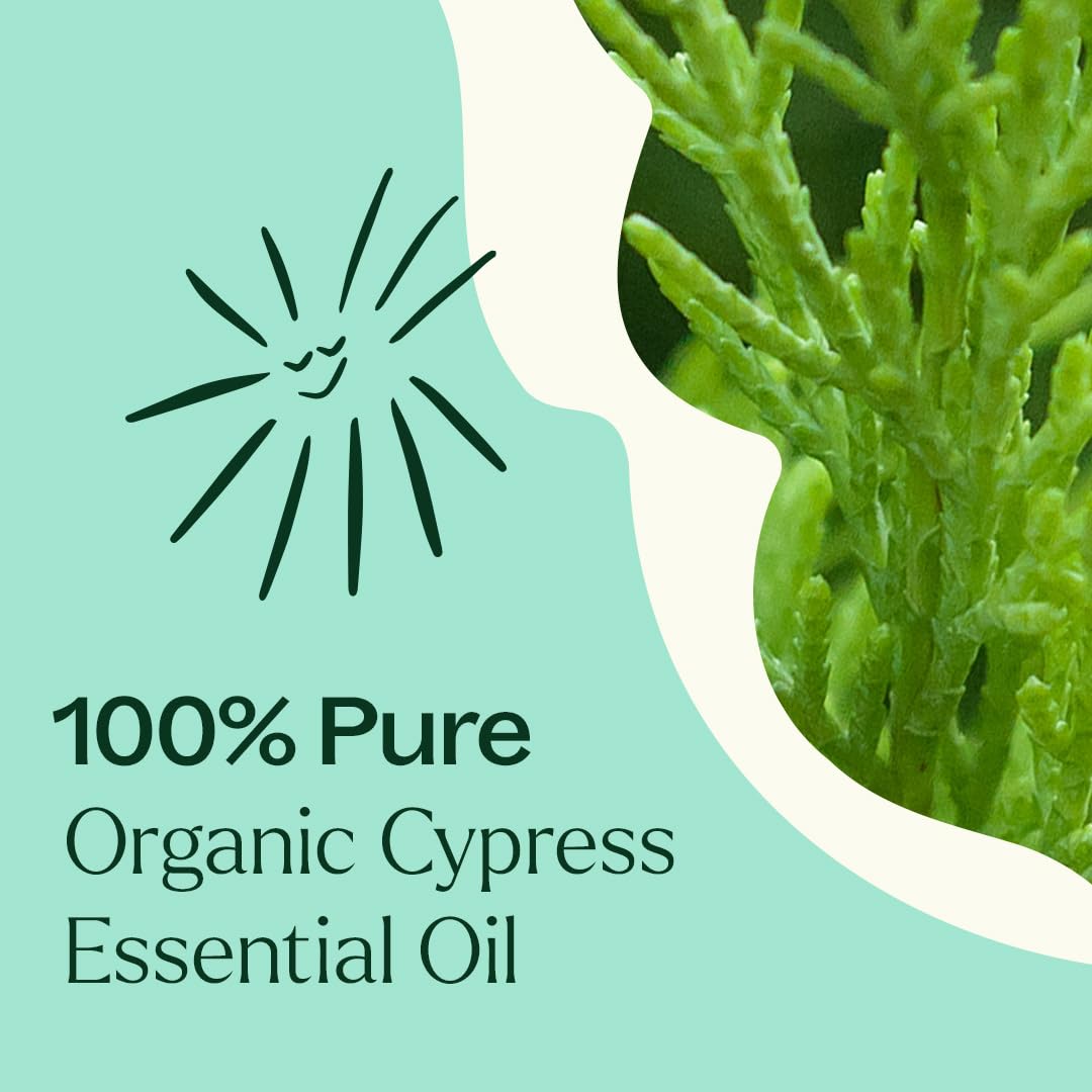 Plant Therapy frasco junto a una regla, comparación de tamaño práctico y portable