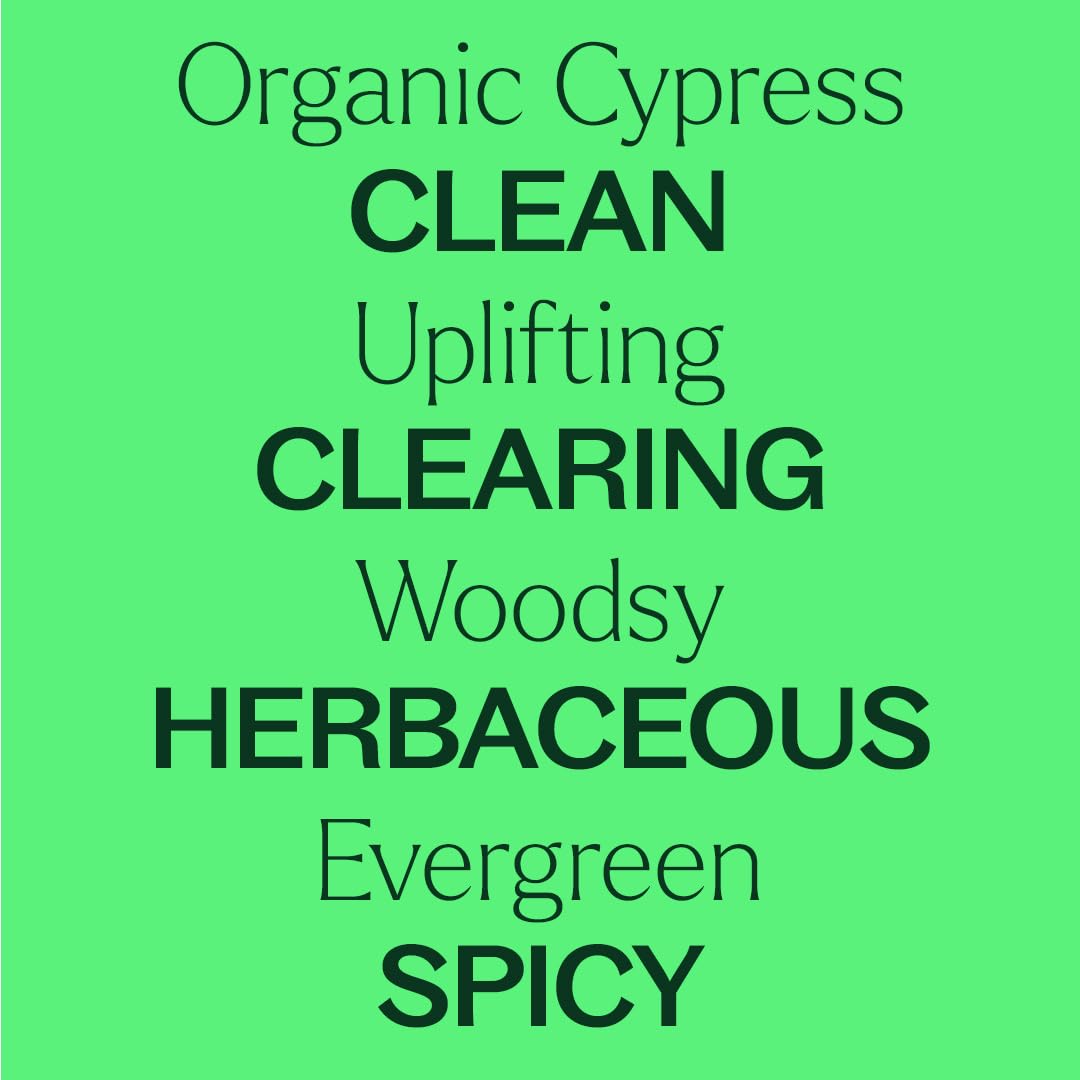 Plant Therapy aceite de ciprés en difusor para ambiente fresco y limpio