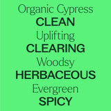 Plant Therapy aceite de ciprés en difusor para ambiente fresco y limpio