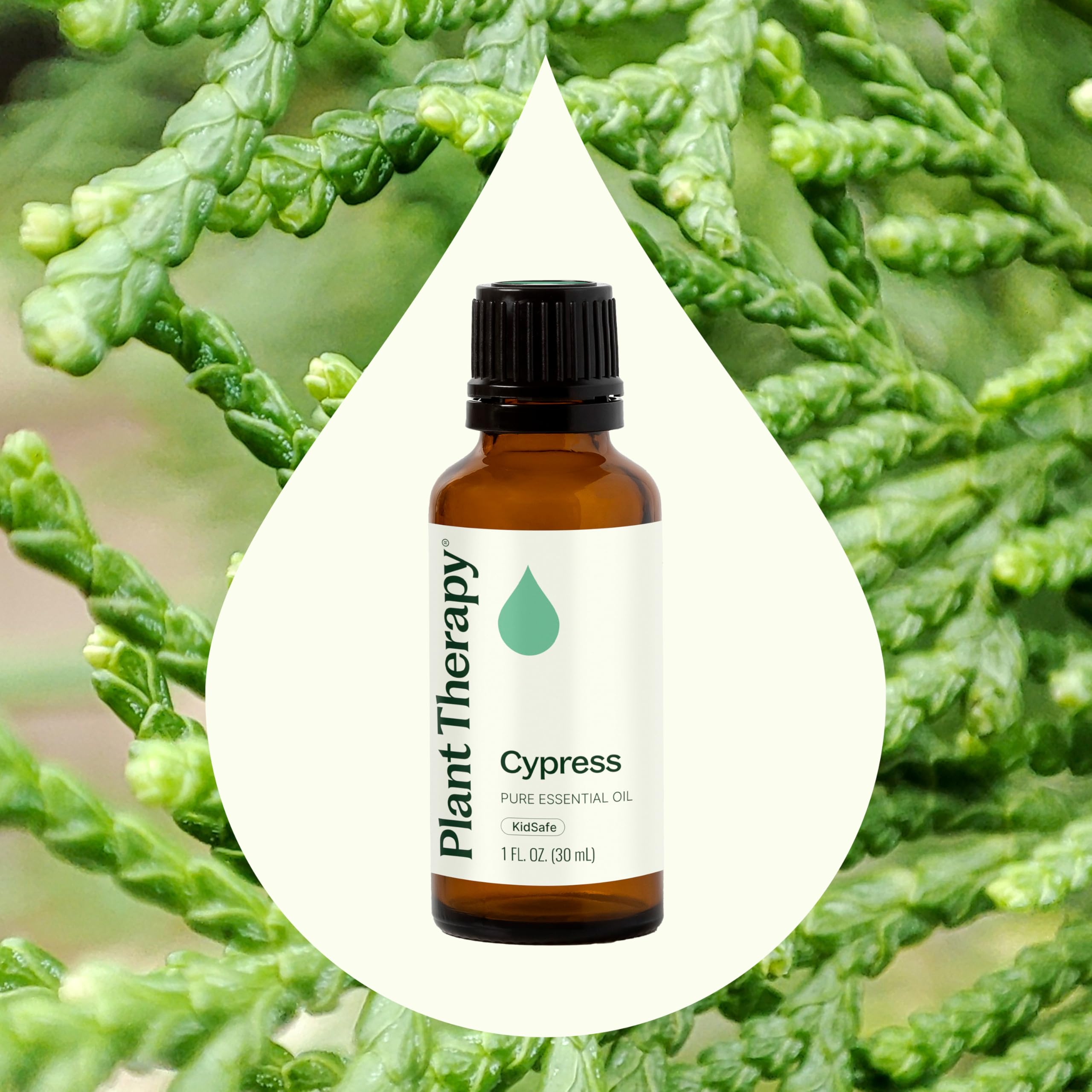 Gota de aceite de ciprés en gotero Plant Therapy mostrando textura clara y pureza del producto