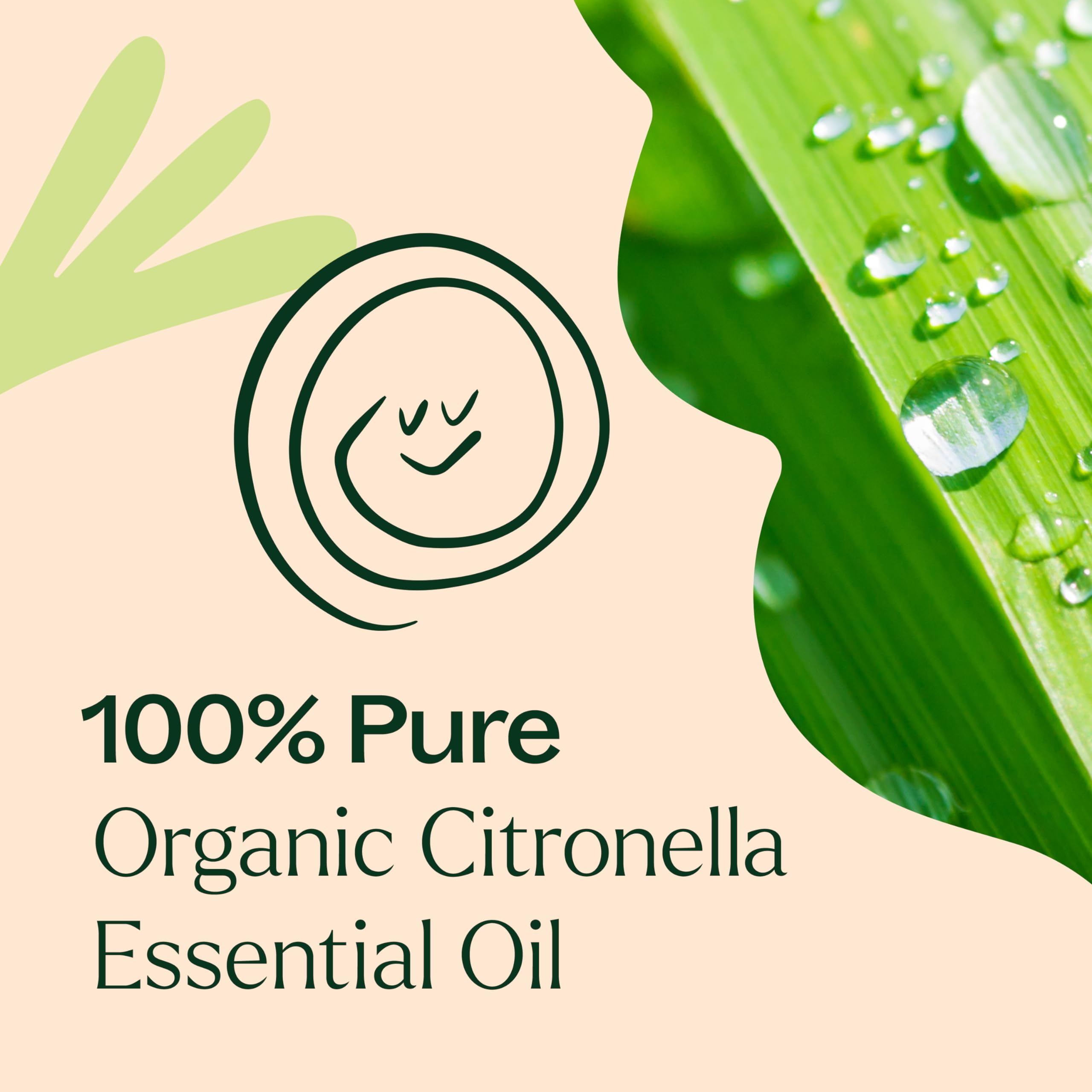 Plant Therapy botella de 30 mL junto a objetos para mostrar tamaño y facilidad de uso