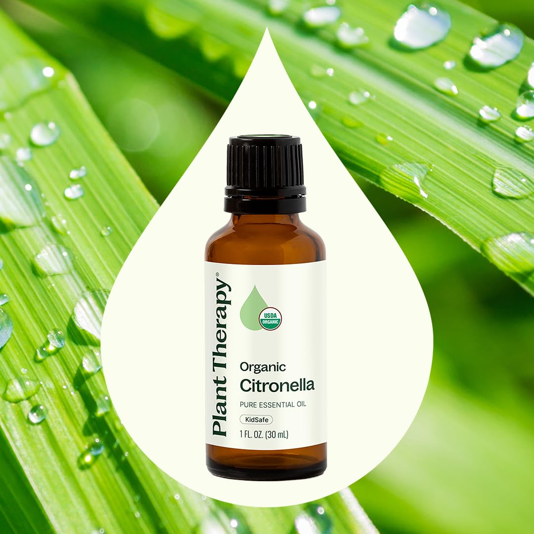 Plant Therapy gota de aceite esencial mostrando textura clara y pureza de la citronela