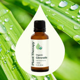 Plant Therapy gota de aceite esencial mostrando textura clara y pureza de la citronela