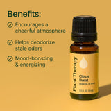 Plant Therapy Citrus Burst etiqueta legible mostrando composición y beneficios