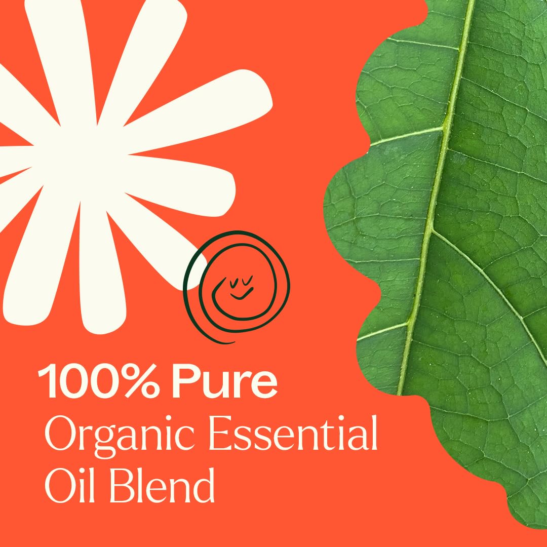 Plant Therapy frasco 10 mL junto a monedas para mostrar escala y portabilidad