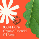 Plant Therapy frasco 10 mL junto a monedas para mostrar escala y portabilidad